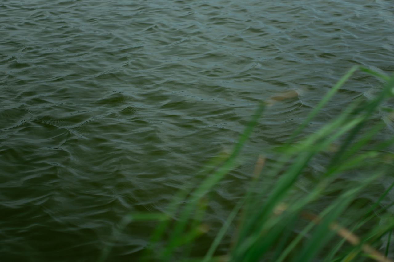 2024-06-22 1790390774777.jpg